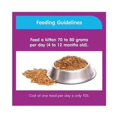 whiskas-kitten-cat-food-junior-ocean-fish-milk-450-gm.webp