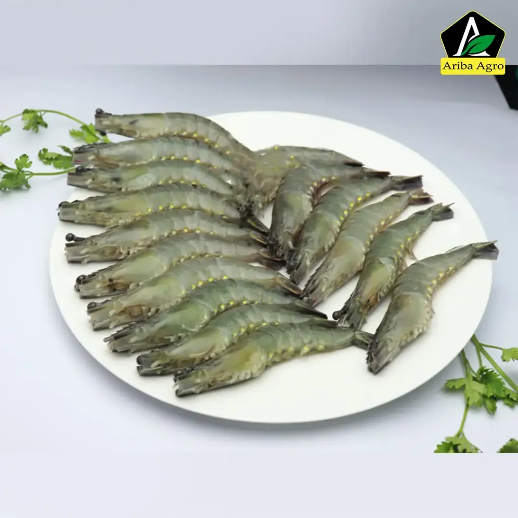 Bagda Shrimp Dressed & Process (Ready To Cook)