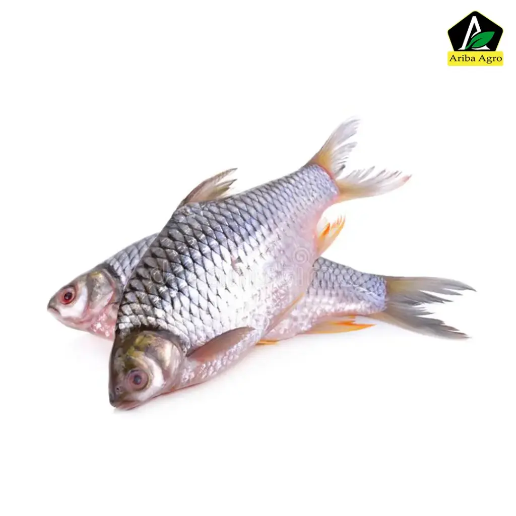 Deshi Shorputi Fish (দেশী সরপুটি মাছ)