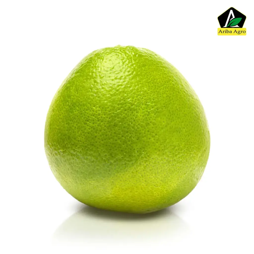 Hilly Pomelo (জাম্বুরা)