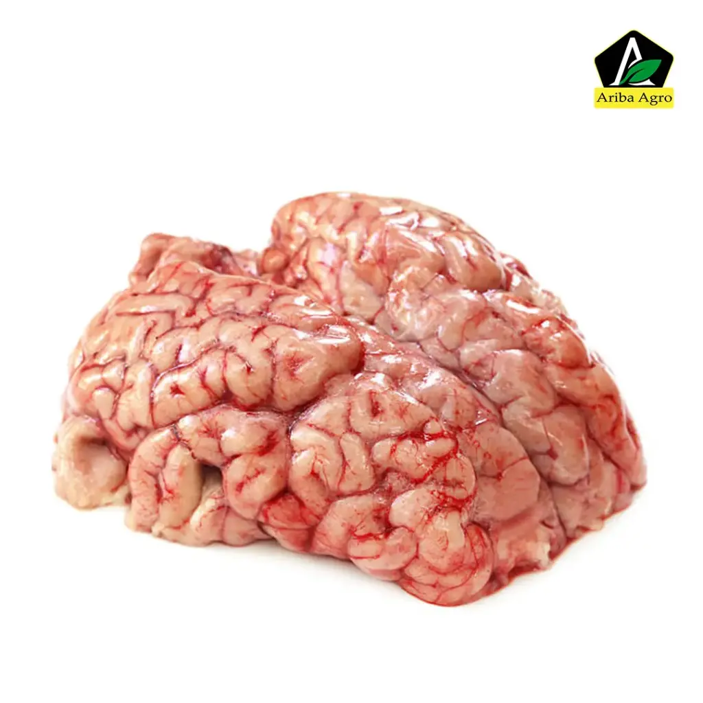Premium Cow Brain (গরুর মগজ)