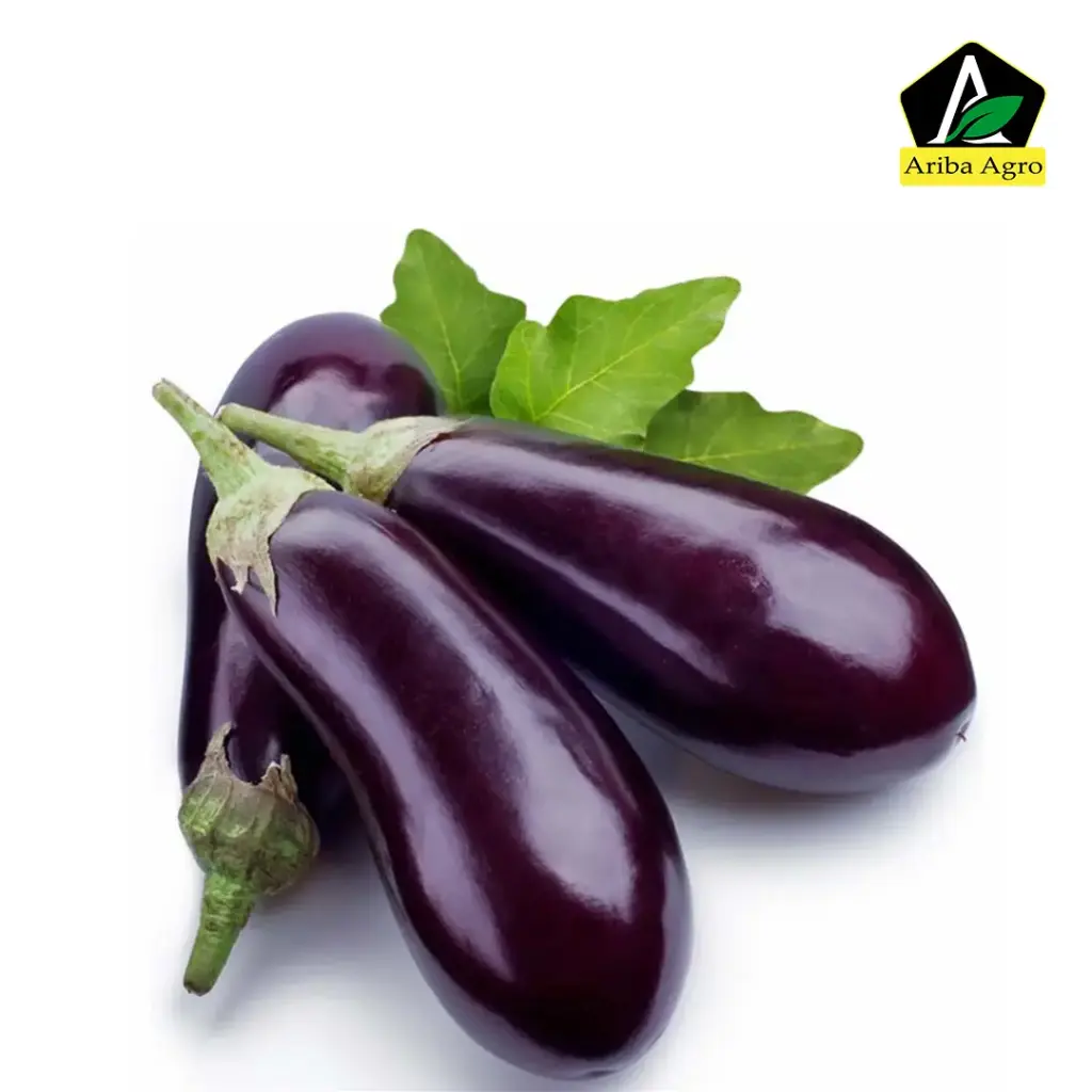 Eggplant – বেগুন