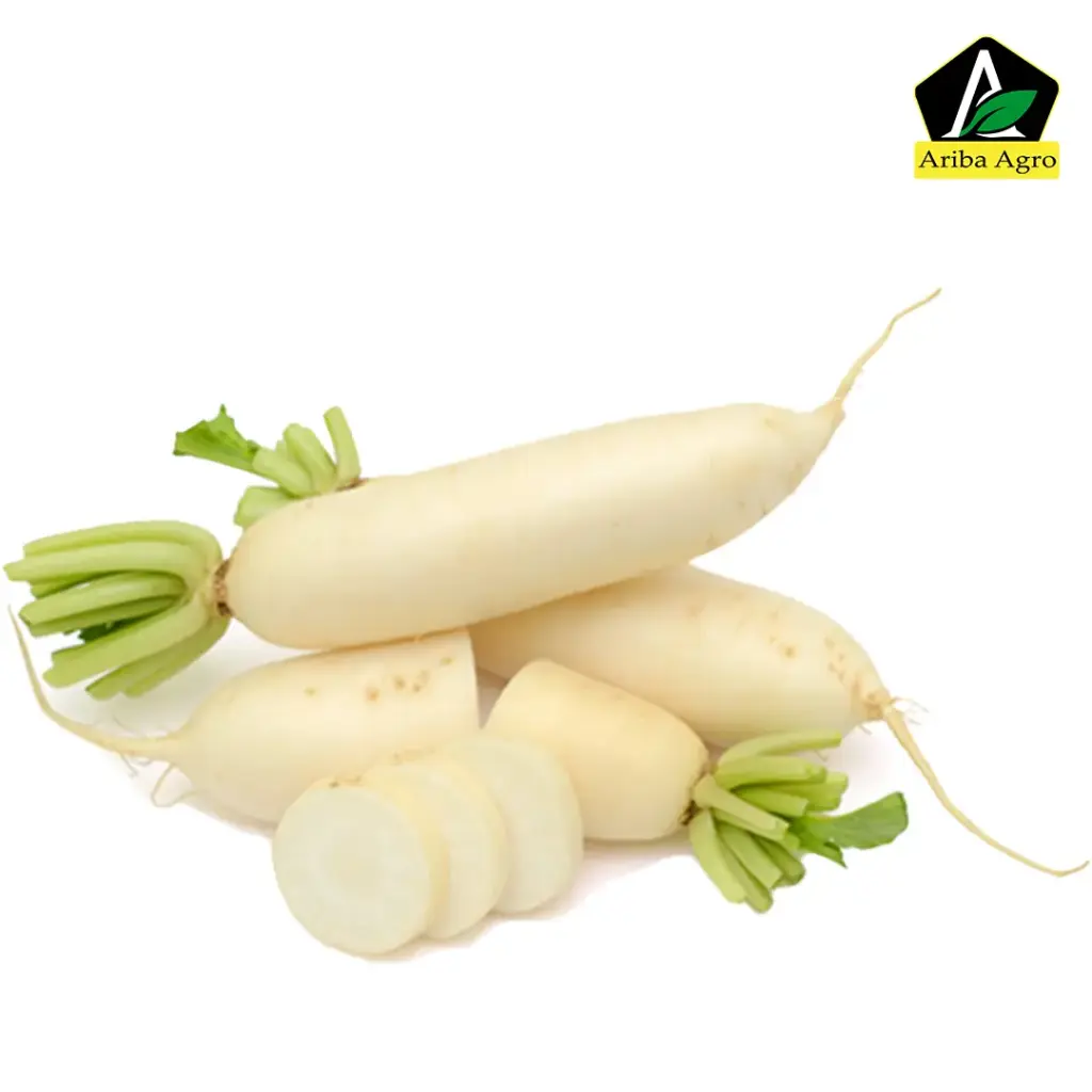 Radish – মূলা