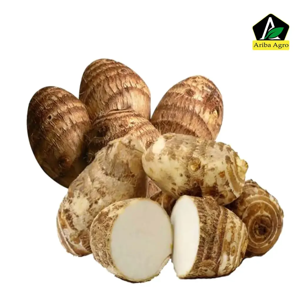 Taro Root kochu – কচু