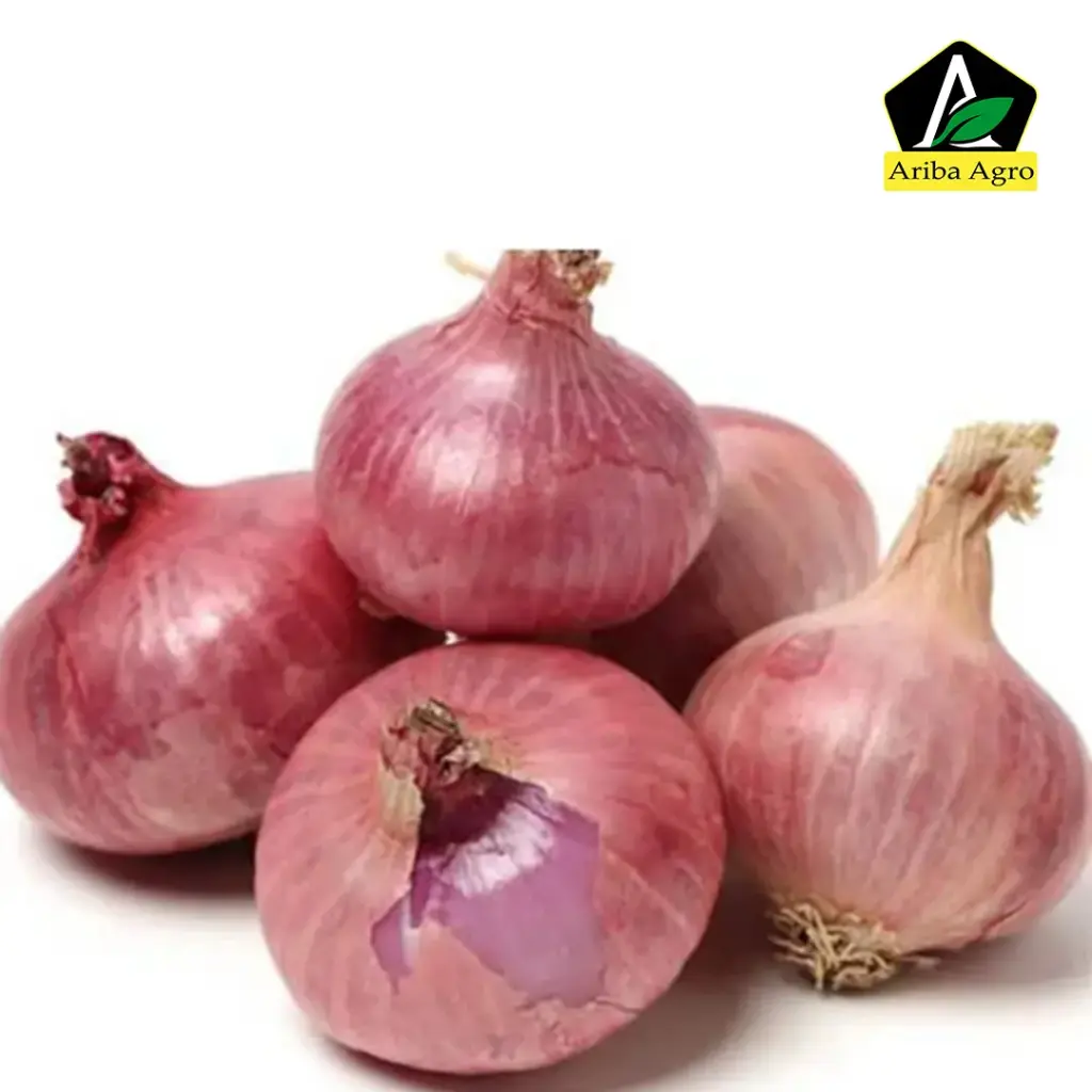 New Onion (Peyaj) – দেশি  পেঁয়াজ 