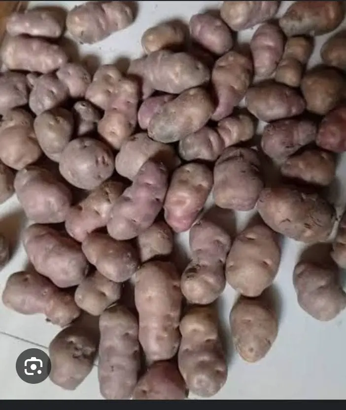 Sil Alu - শীল আলু (1kg)