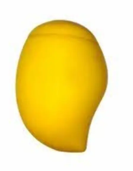 Igloo Mango Magic ( Ice Cream ) আইসক্রিম ( 125ml )