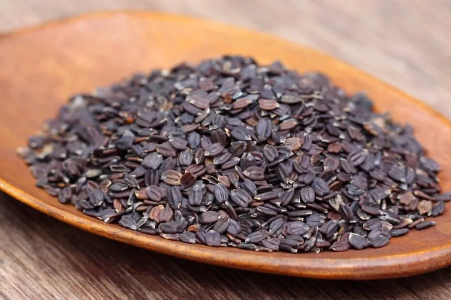 Tukma- (তুকমা)