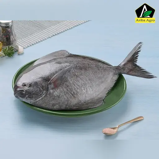 Black Pomfret Whole (কালো রূপচাঁদা মাছ)
