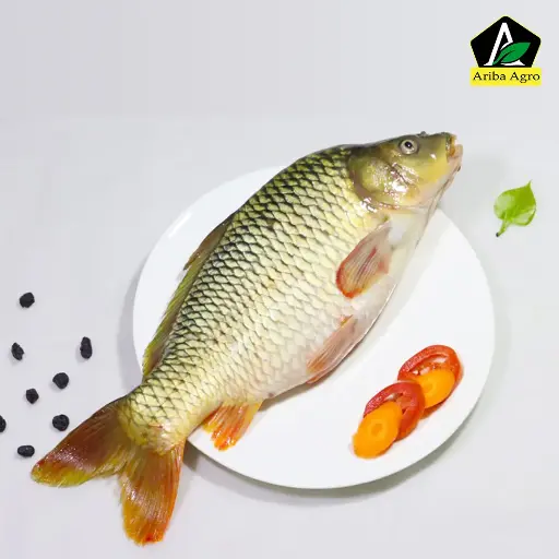 Deshi Karfu Fish (দেশী কার্ফু মাছ)