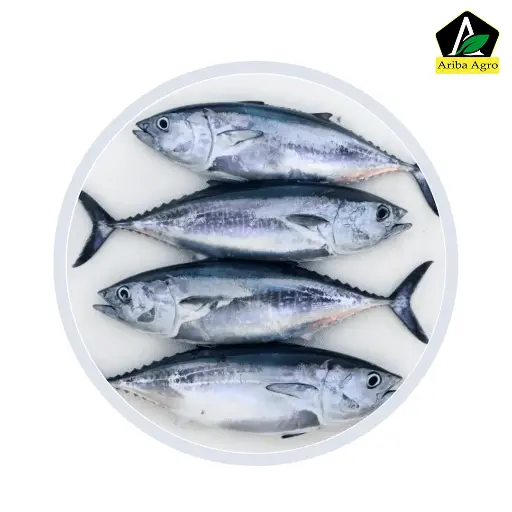 Tuna Fish Whole (টুনা মাছ আস্ত)