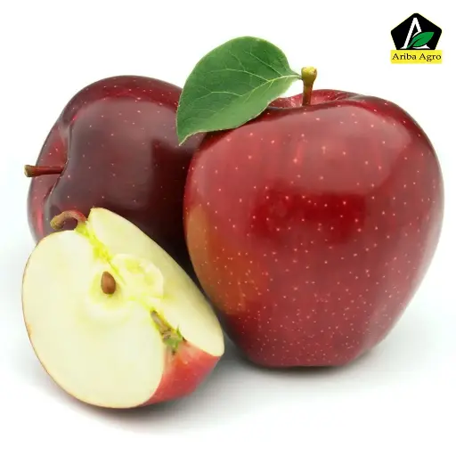 Gala Red Apples