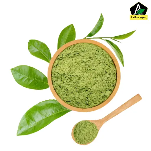 Basil Powder ( তুলসী গুঁড়া )