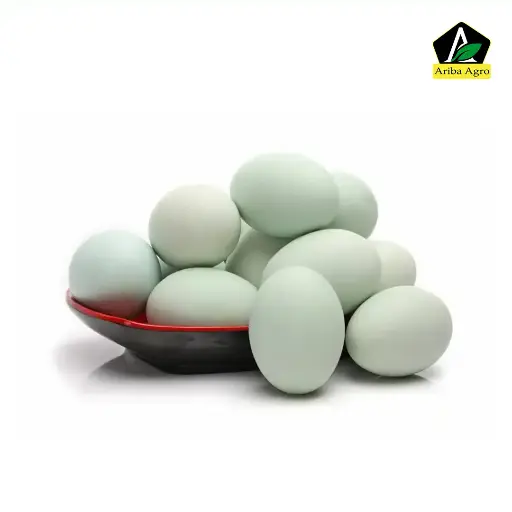  Duck egg – হাঁসের ডিম