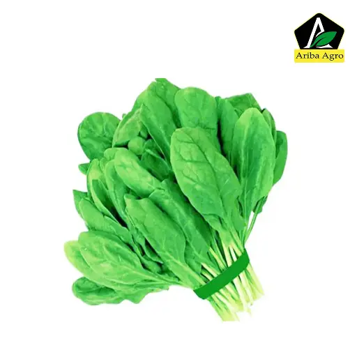 Green Spinach – পালং শাক