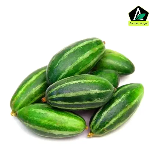 Pointed Gourd – পটল