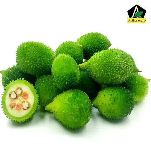 Ivy Gourd – কাকরোল