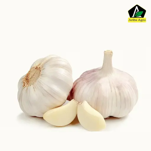 Desi Garlic – ডেশি রসুন