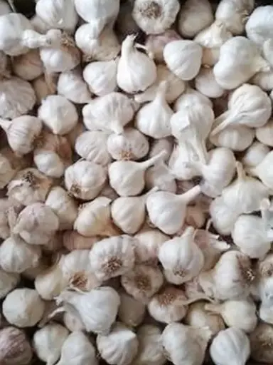 Desi Garlic(Rosun) – দেশি রসুন