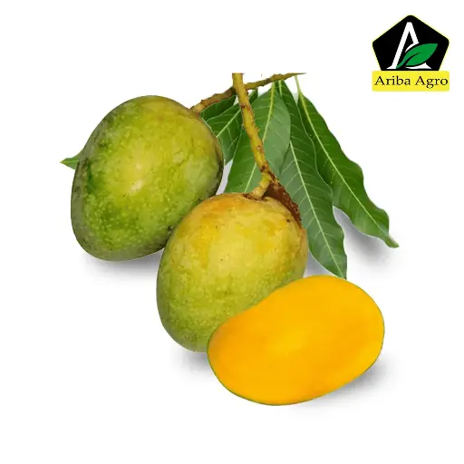 Gopalbhog Mango – (গোপালভোগ আম)