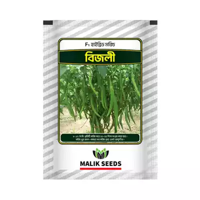 Malik Seeds Morich Beej (Bijlee) 