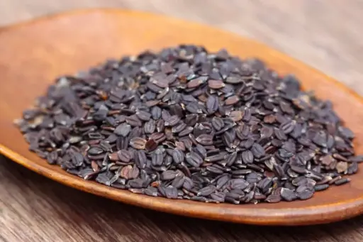 Tukma- (তুকমা)